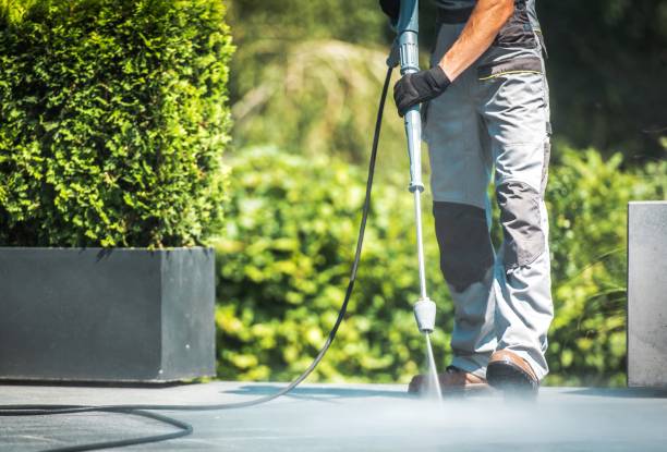 Best House Exterior Washing  in White Hall, IL